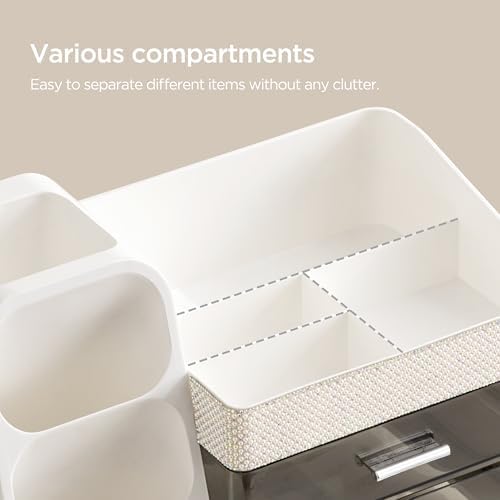 HBlife Makeup Organizer with Brush Holder for Vanity, Large Plastic Bathroom Countertop Organizer Skin Care Storage, Eas