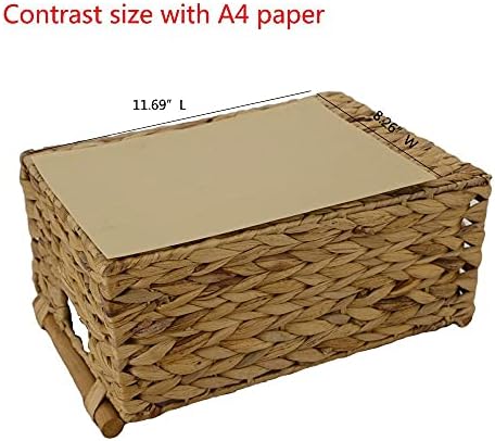 Natural Woven Water Hyacinth Storage Basket with Wood Handles, Large