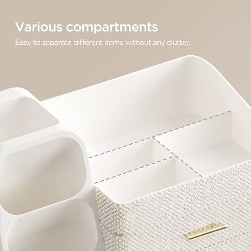 HBlife Makeup Organizer with Brush Holder for Vanity, Large Plastic Bathroom Countertop Organizer Skin Care Storage, Eas