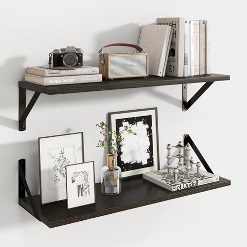 Axeman 24 Inch Floating Shelves, 8 Inch Deep Black Wall Shelves Set of 2