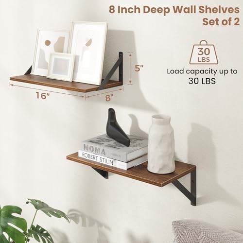 Axeman Floating Shelves for Wall, 16'' x 8'' Walnut Wall Shelves Set of 2