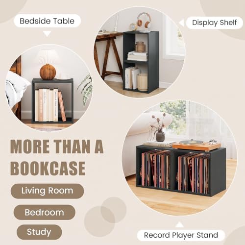 LOKO Stackable 2 Cube Storage Organizer, 2-Tier Bookshelf (1, Black)