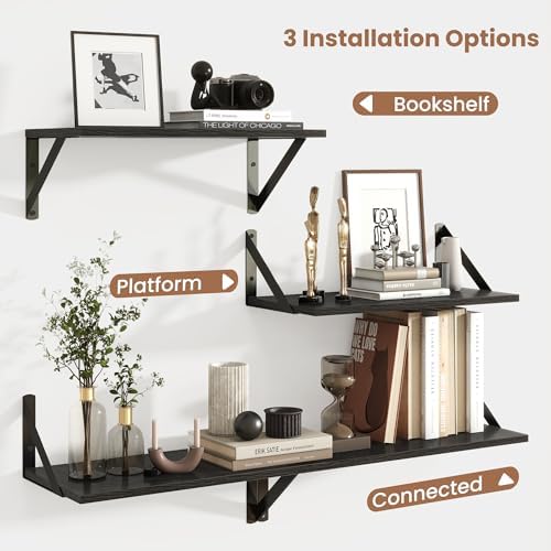 Axeman Floating Shelves for Wall, 16'' x 8'' Black Wall Shelves Set of 2
