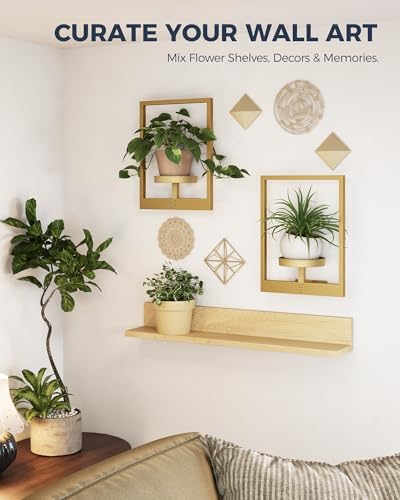 Bamworld Wall Plant Holder Plant Stand Indoor Wall Planters Gold