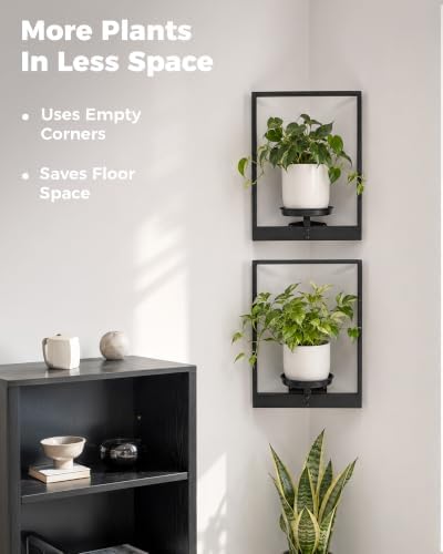 Bamworld Picture Frame Wall Planters Set of 2 Corner Wall Plant Holder