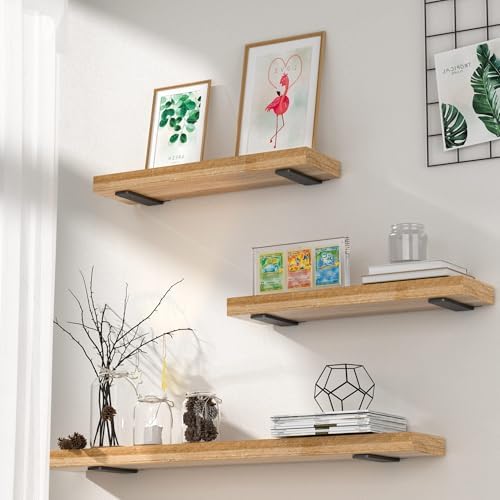 Floating Shelf Brackets 4 Inch 4 Pack, Hidden L Brackets for Shelves Black