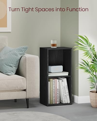 VASAGLE Bookshelf, 2-Tier Bookcase, 11.8 x 9.4 x 25.2 Inches