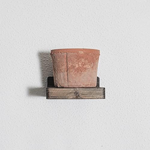 Freezing point Small Floating Shelves for Wall Set of 2 Natural Wood 4Inch Mini Wall Shelf Decor Plant Display Collectib