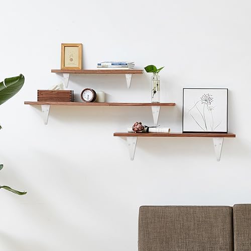 Lilaly 10 Pack Shelf Brackets 8 Inch Shelf Bracket, Heavy Duty L Brackets for Shelves for Hanging Floating Shelves Brack