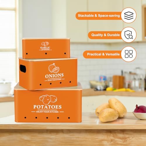 Kitchen Vegetable Storage Set of 3, Metal Onion Garlic Potato Storage Set, Kitchen Canisters Vegetable Keeper Containers
