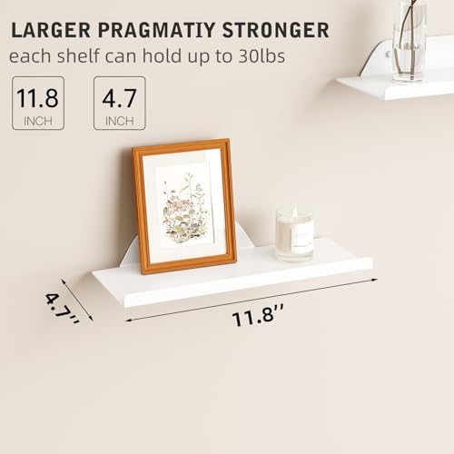 Floating Shelf for Wall, Off Center Metal Shelf for Decor, Modern Wall Shelf for Storage with Lip, Hanging Shelf for Liv