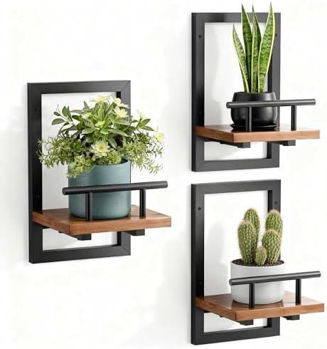 Sbosbo Floating Shelves for Wall Plant Shelf Indoor Wall Mounted Shelves