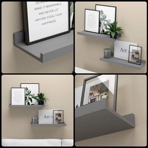 Boswillon Floating Shelves Set of 2, Small Wall Shelf with Lip, 16in, Grey