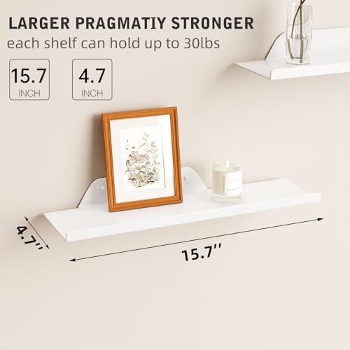 Floating Shelf for Wall, Off Center Metal Shelf for Decor, Modern Wall Shelf for Storage with Lip, Hanging Shelf for Liv