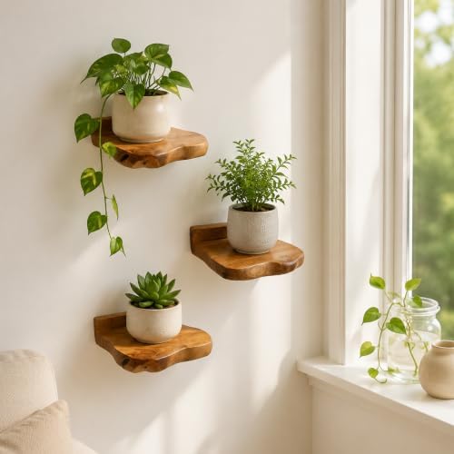 Small Floating Shelf for Wall Set of 3 Natural Cedar Wood 6 Inch Mini Wall Shelves Decor Plant Display Collectibles Moun