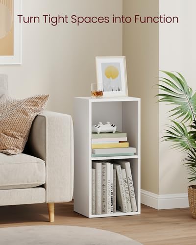 VASAGLE Bookshelf, 2-Tier Bookcase, 11.8 x 9.4 x 25.2 Inches