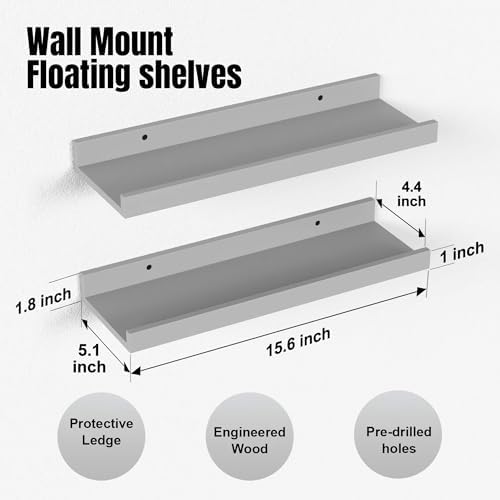 Boswillon Floating Shelves Set of 2, Small Wall Shelf with Lip, 16in, Grey