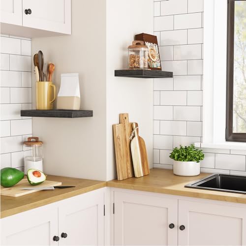 HOOBRO Floating Shelves for Wall, Wall Mounted Shelf Set of 2, 15.7" Hanging Shelf with Invisible Brackets, for Wall Dec