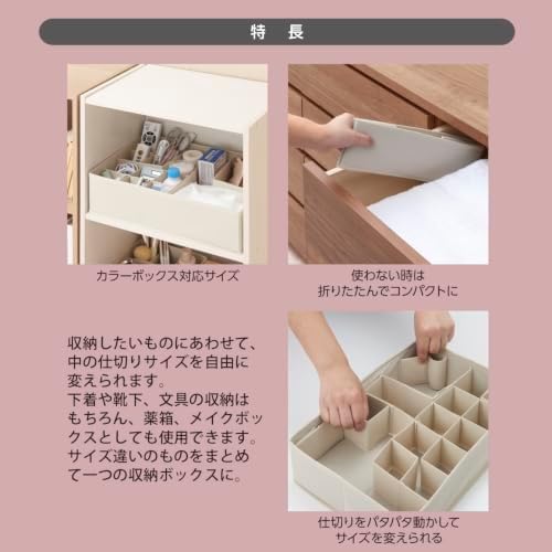 アール(R) JJ-004 Storage Box with Moving Dividers Color Box L