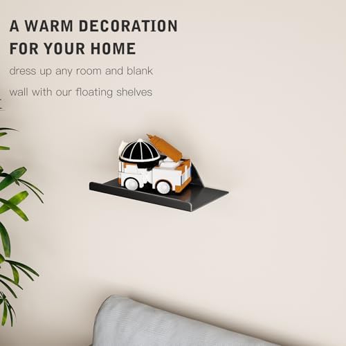 Floating Shelf for Wall, Wall Shelf, Off Center Metal Shelf for Decor, Modern Hanging Shelf for Storage with Lip for Liv