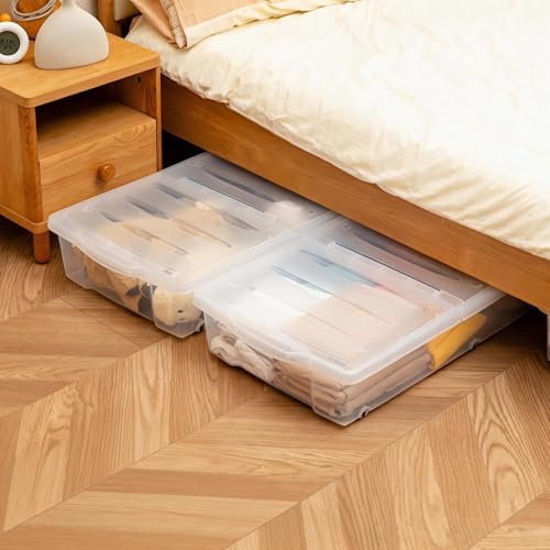 Citylife 57 QT Plastic Storage Bins with Double-Opening Lids, Storage Containers for Organizing, Large Clear Storage Box