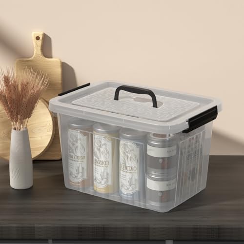 4-Pack Storage Bins with Latch Lids, Clear Plastic Storage Box, 18 L