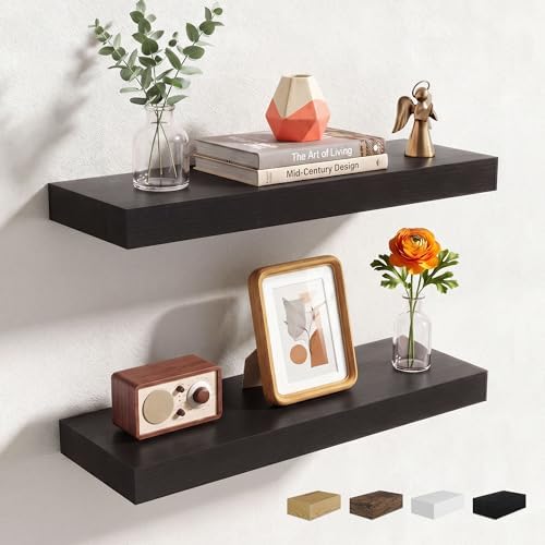 Axeman 20Inch Floating Shelves for Wall, 2 Packs, Invisible Brackets, Black