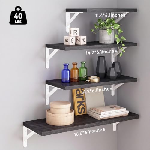 YGEOMER 4 Different Sizes Floating Shelves for Wall Decor, Black and White