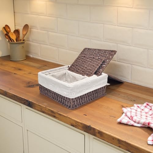 GIB Small Wicker Storage Baskets with Lid/Liner Woven Cute Decorative Boxes