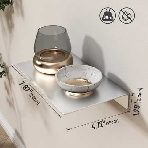 Danpoo 8 inch Small Floating Shelves for Wall Organizer & Storage, Mini Display Shelves, Metal Wall Shelves for Bathroom
