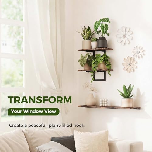 Bamworld Floating Shelves for Wall Planters Indoor Hanging Plant Shelves