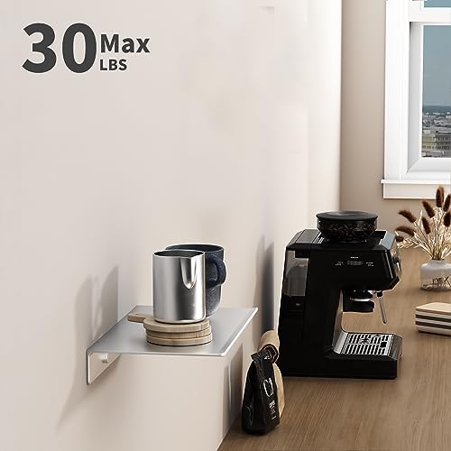 Danpoo 8 inch Small Floating Shelf for Wall Organizer & Storage, Mini Display Shelf, Metal Wall Shelf for Bathroom, Livi