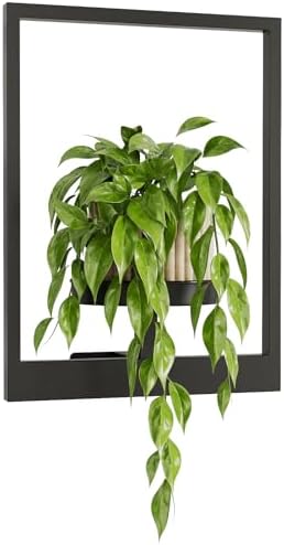 Bamworld Wall Plant Holder Plant Stand Indoor Wall Planters Black