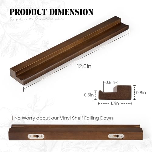 RICHFOCUS Vinyl Wall Mount, 1 Pack Solid Wood Record Shelf, Album Record Holder Display, 12 inch Floating Shelves for Wa