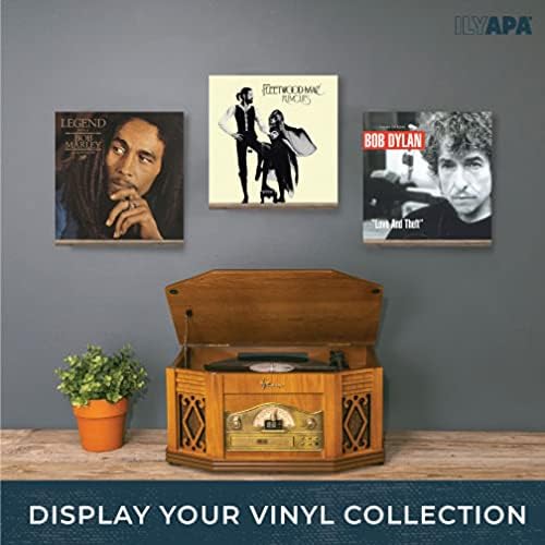 Ilyapa Vinyl Wall Mount Floating Record Shelves- 8 Pack, Barnwood Wood