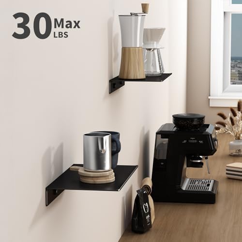 Danpoo 8 inch Small Floating Shelves for Wall Organizer & Storage, Mini Display Shelves, Metal Wall Shelves for Bathroom