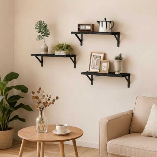 Fixwal Wall Floating Shelves for Home Decor (Black, Set of 3, 16.5 Inch)