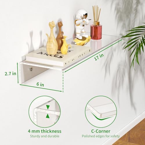 FEMELI 2 PCS 17" Acrylic Floating Shelves, Clear Shelf for Wall Display