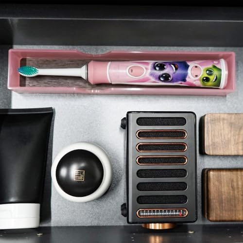 Acrylic Electric Toothbrush Holder with Diatomite Drying Stone (Pink)
