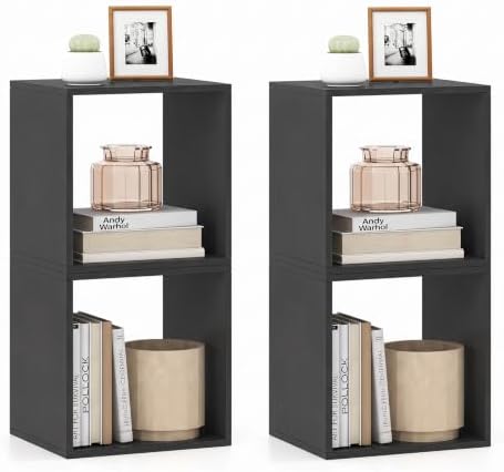 LOKO Stackable 2 Cube Storage Organizer, 2-Tier Bookshelf (2, Black)