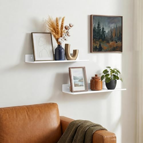 Z metnal Small Wall Shelves, Mini Display Metal Lack Floating Shelf for Collectables Figure, Aluminum, Wall Mounted, Sle
