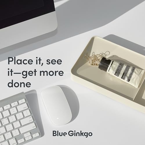 BLUE GINKGO Desk Organizer Tray, Green, Made in Korea