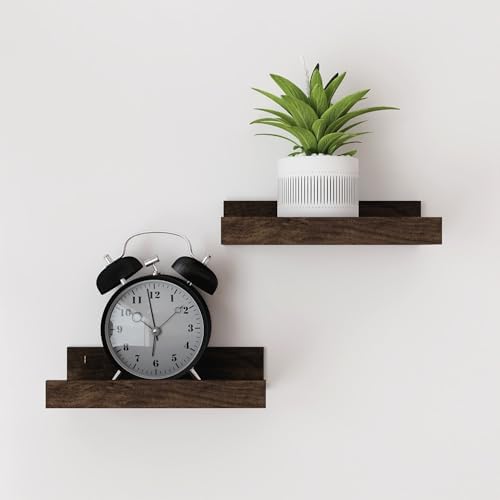 Small Walnut Floating Shelves for Wall, 8 in Shelf with Lip Set of 2
