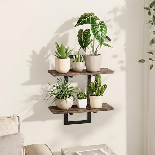 Bamworld Floating Shelves for Wall Planters Indoor Hanging Plant Shelves