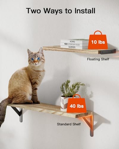 Amada Solid Paulownia Wood Wall Shelves, Large Size, 6 Pcs, Natural Wood