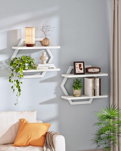 CHOEZON Hexagon Floating Shelves for Wall, Set of 2, 2 -Tier Hanging Shelves, Wall Mounted Storage Shelves, for Living R