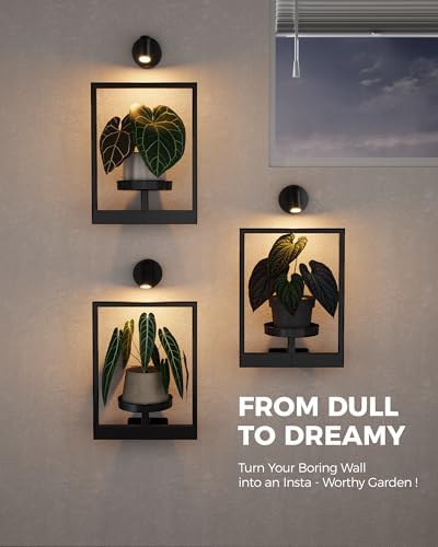 Bamworld Hanging Planters for Indoor Plants Wall Decor Living Room Light