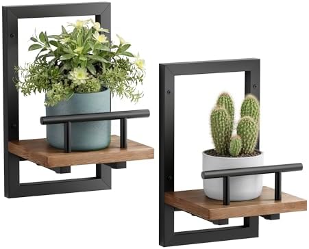 Sbosbo Floating Shelves for Wall Plant Shelf