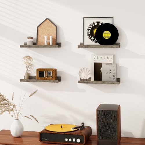 Dreamland Picture Ledge Shelf for Wall, Floating Shelves Set of 4,16 inch Long Floating Shelves with Lip for Living Room,Bedroom,Bathroom,Kitchen,Grey
