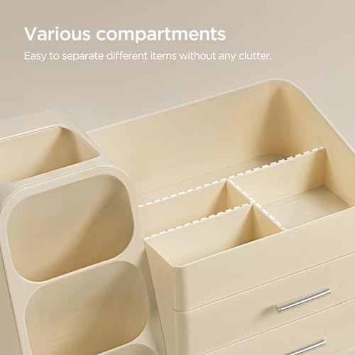 HBlife Makeup Organizer with Brush Holder for Vanity, Large Plastic Bathroom Countertop Organizer Skin Care Storage, Eas